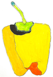 PAPRIKA_PAPRIKA
