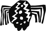 SPINNE_PAVOUK